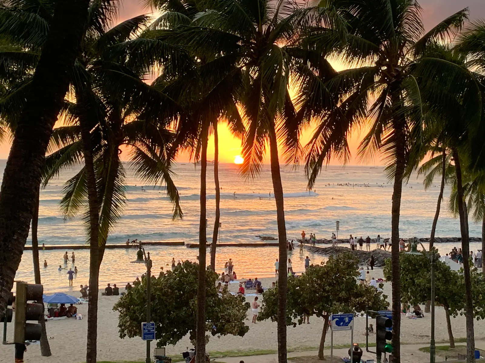 Sunset through tall palm trees over a lively Hawaii beach with swimmers and surfers in the waves — a honeymoon destination Suncoast Travel plans for Michigan couples